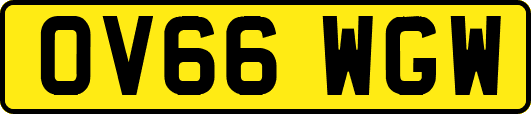 OV66WGW
