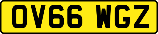 OV66WGZ