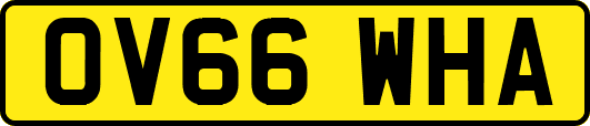 OV66WHA