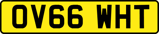OV66WHT