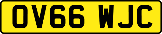 OV66WJC
