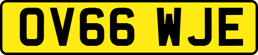 OV66WJE