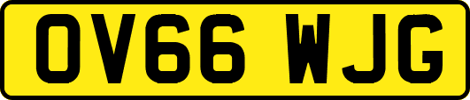 OV66WJG