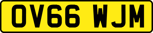 OV66WJM