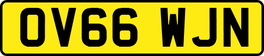 OV66WJN