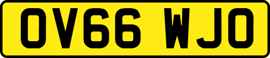 OV66WJO