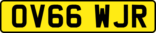 OV66WJR