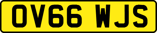 OV66WJS