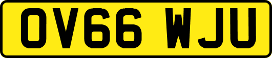 OV66WJU