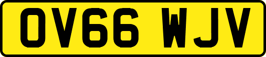 OV66WJV