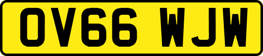 OV66WJW