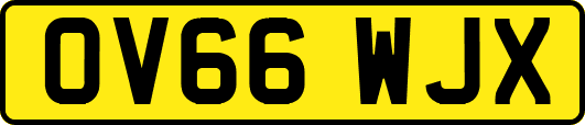 OV66WJX