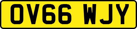 OV66WJY