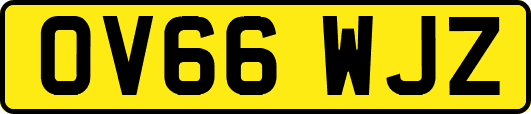 OV66WJZ