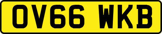 OV66WKB