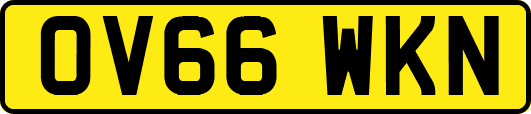 OV66WKN