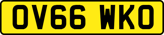 OV66WKO