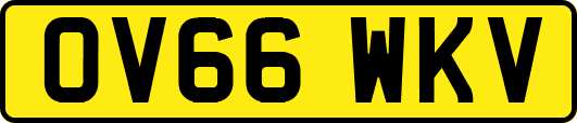 OV66WKV