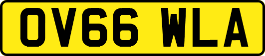 OV66WLA