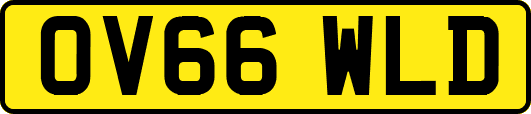 OV66WLD