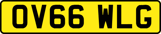 OV66WLG