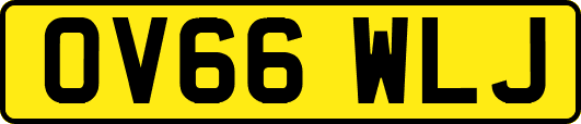 OV66WLJ