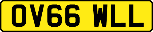OV66WLL
