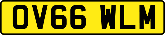 OV66WLM