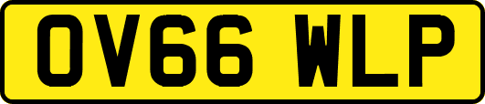 OV66WLP