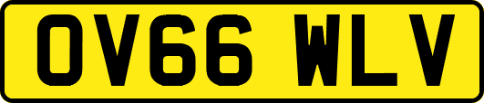 OV66WLV