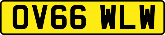 OV66WLW