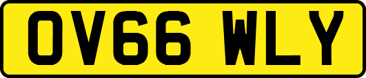 OV66WLY