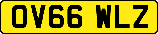 OV66WLZ