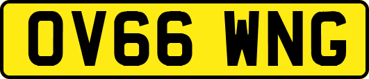 OV66WNG