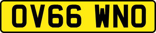 OV66WNO