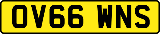 OV66WNS