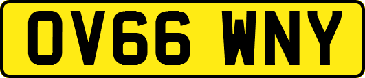 OV66WNY