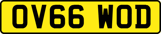 OV66WOD