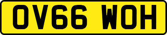 OV66WOH