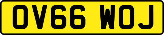 OV66WOJ