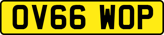 OV66WOP