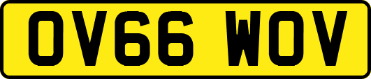 OV66WOV
