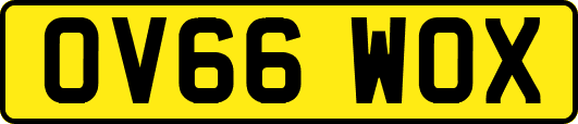 OV66WOX