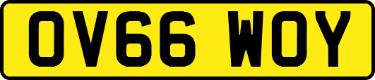 OV66WOY