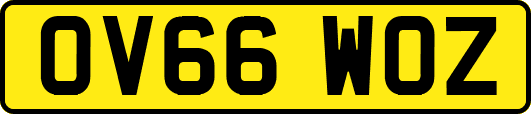 OV66WOZ