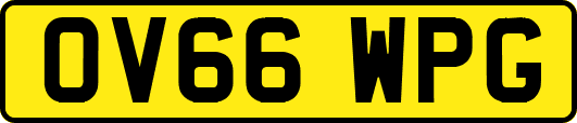 OV66WPG