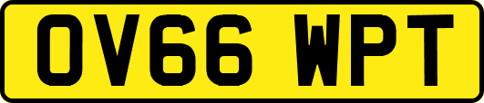 OV66WPT