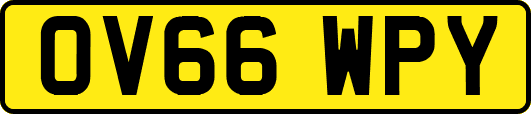 OV66WPY