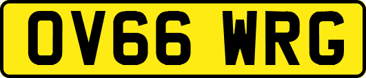 OV66WRG