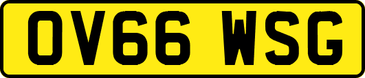 OV66WSG